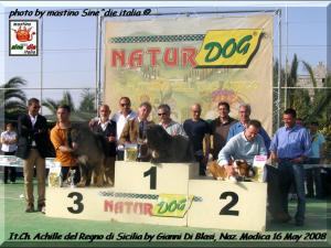 It. Ch. Achille del Regno di Sicilia,