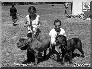 Testone & Barbara,,,