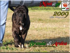 Lax Brenda di Ardea