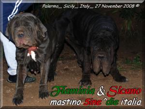 Joining,,, Sine^die Sicano x Sine^die Flaminia 27 November 2008,