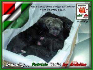 figli di Clotilde by Ardolino x sine^die Sicano,,, 22 september 2007