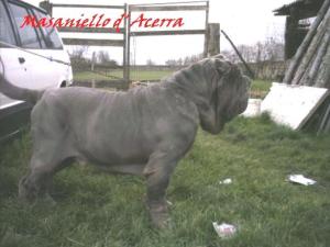 Masaniello d Acerra by Michele d Inverno-3