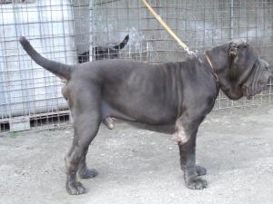 2006_1031Abi10550001