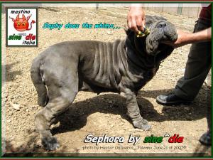 Hector potho 034