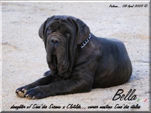 Bella,,, Sine^die Sicano figlia