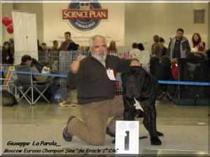 Moscow Eurasia Champion Sine die Eracle 1 CAC,,, 01 March 2009