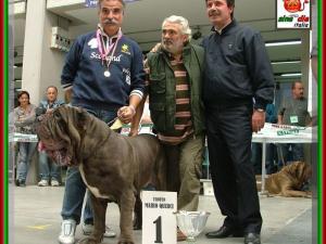 ATMQ 2007 Achille by Gianni Di Blasi, son of sine^die Sicano,,,  photo by kendail