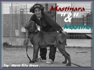 Maria Rita Greco