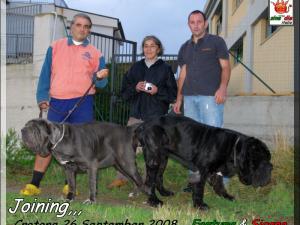 Joining,,, new Fortuna & Sicano