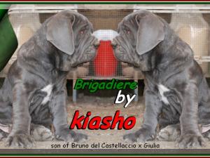 Brigadiere by kiasho ooo