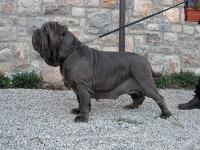 Perla Dello Stradone Vesuviano