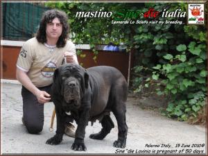 gradita visita al mio allevamento 15 Giugno 2010...