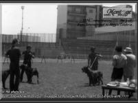 1974 Febo D'arpino with Imbimbo,,, La Parola,,, Di Lorenzo