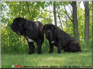 Ermes e Afra