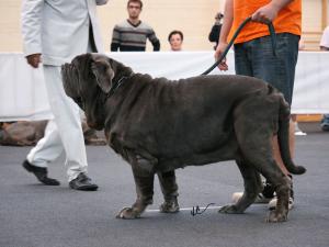 IMG_0663