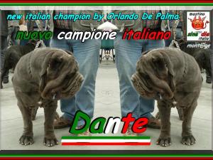 Dante by Orlando De Palma new italian champion sine^die montage,,,