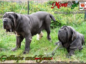 New Joining Zeus and Calliope,,,