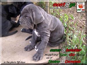 Cuccioli di Demonia & Sicano Sine^die,,, Palermo 16 aprile 2008,