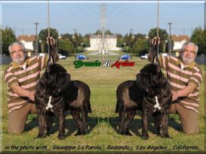 Lax Brenda di Ardea with Giuseppe La Parola,