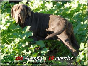 Sine^die Guappa,,, 19 months,,, 21 dicembre 2008