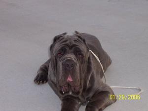 Lex13MonthsFront