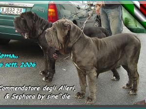 Sephora & Commendatore Roma 16 sett. 2006