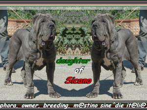 Sephora & Sephora. daughter of sine^die Sicano,,,