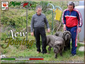 New Joining Zeus and Calliope,,