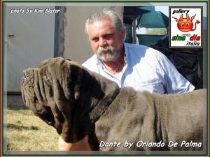 Dante by Orlando Di Palma Italy,,, 486
