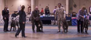 FinalFourNationals2