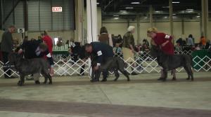 2009Nationals-63