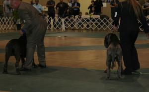 2010-Nationals-60