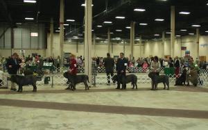 2009Nationals-47