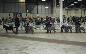 2009Nationals-4