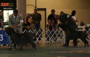 2010-Nationals-57