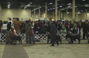 2009Nationals-5