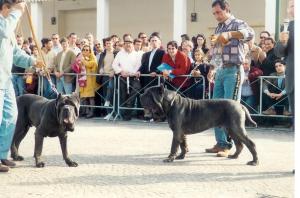 Peppino Iazzetta 2