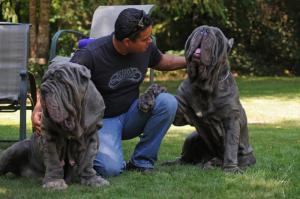 Caprice&Capo