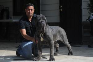 Filippo4