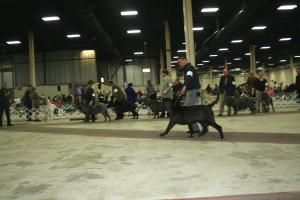 2009Nationals-37