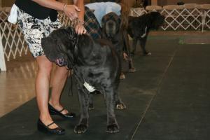 2010-Nationals-19