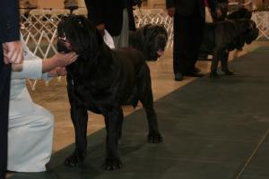 2010-Nationals-13