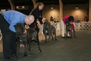 2010-Nationals-23