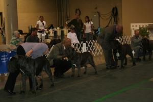 2010-Nationals-48
