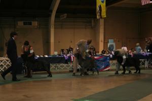 2010-Nationals-6