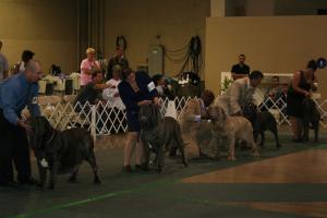 2010-Nationals-44