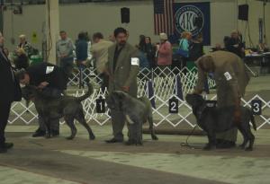 2009Nationals-7