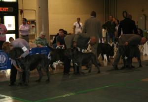 2010-Nationals-47