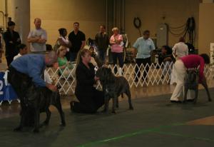 2010-Nationals-39