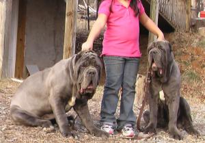 Leone&Atila